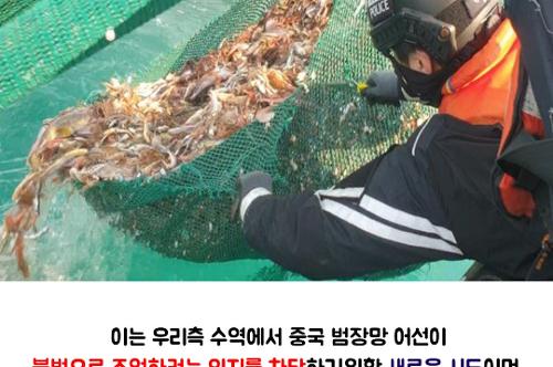 불법조업 근절을 위한 제주해상 불법 범장망 어획물 방류 사진5