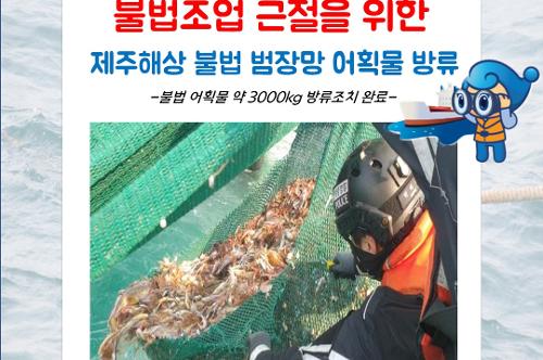 불법조업 근절을 위한 제주해상 불법 범장망 어획물 방류 사진1