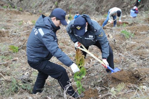 240329 식목일기념 나무심기 행사 사진1