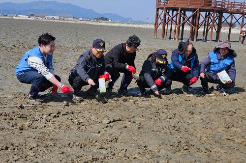 250320 줄포만 블루카곤 확대조성을 위한 염생식물 파종행사 사진2