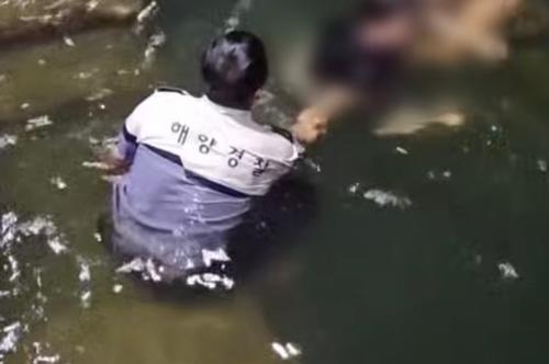 창원해경, 마산 진동면 해상 차량 추락자 신속구조 (260831) 3