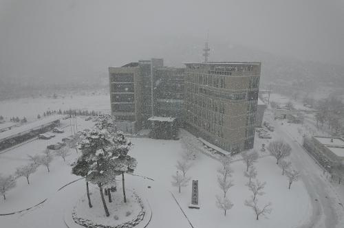 (2023.02.15.) 동해해경청 청사 및 인근 제설작업 실시 사진1