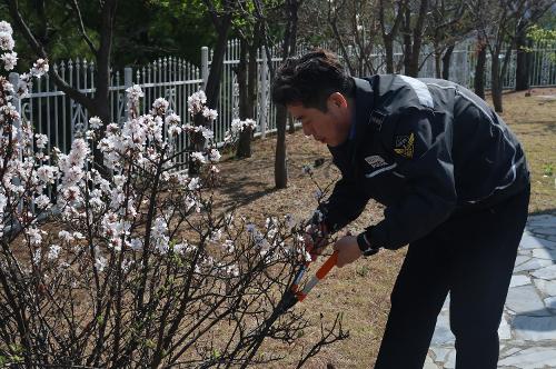 240405 동해해경 식목일 맞이해 청사 조경 환경정리  2