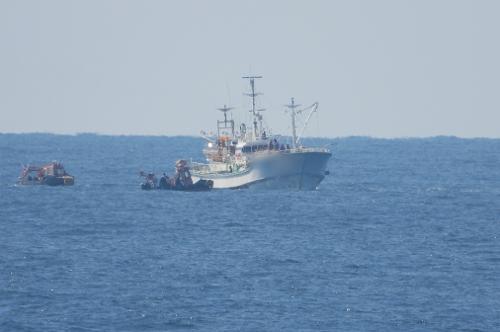 (26.04.29.) 동해해경, 독도 북동방 290km 해상 한·일 합동 수색 총력 (3보) 3