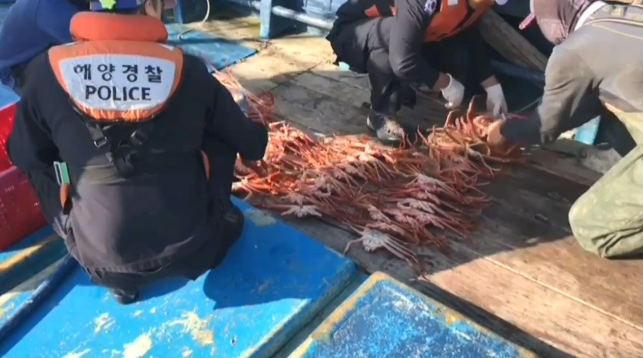 영상