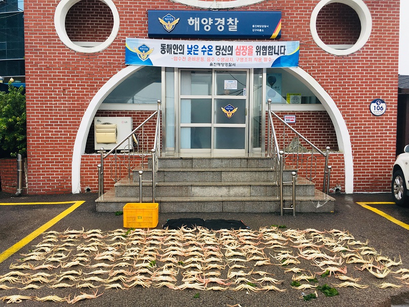 불법 대게 165마리 포획사범 검거