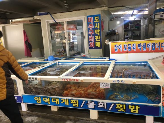 원산지 표시 확인중인 울진해경