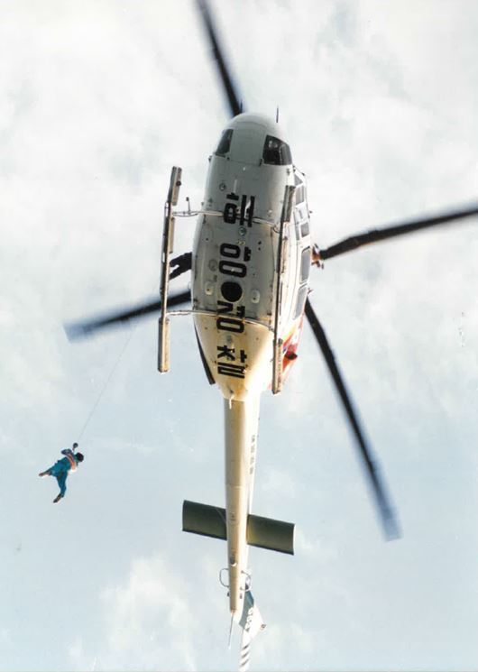사진 사진