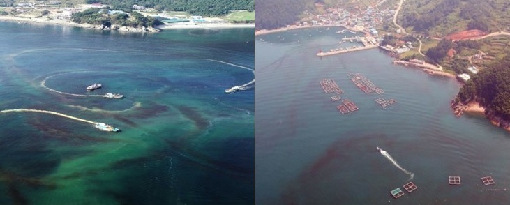 적조 분포 항공 빅데이터