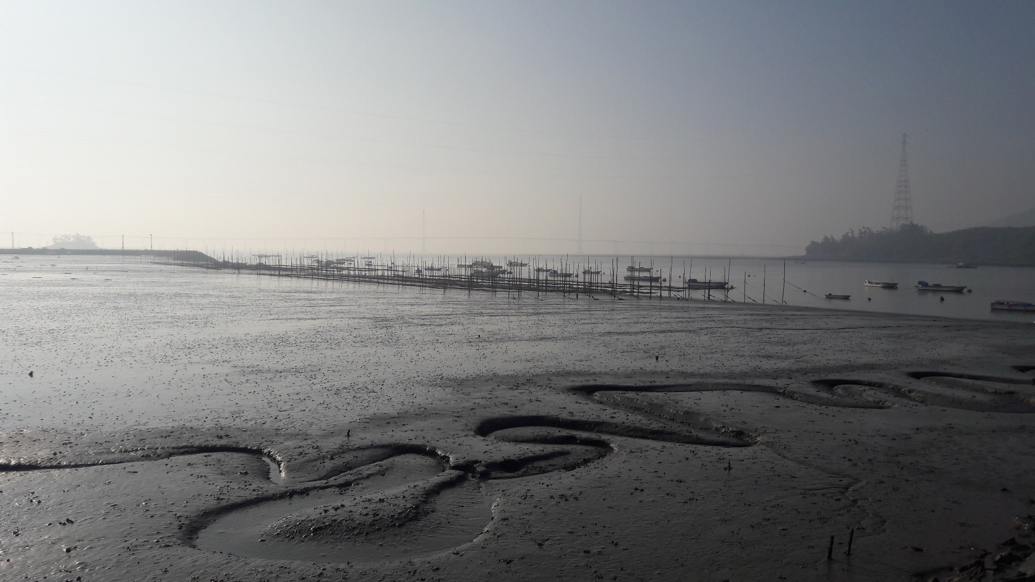 당사도의 갯벌과 김발
