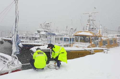 (210107) 군산 대설경보, 폭설 내린 비응항 안전점검 2