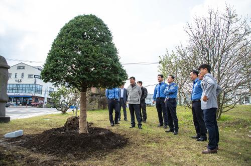 (240405) 제79회 식목의 날 기념식수 식재 행사 사진4