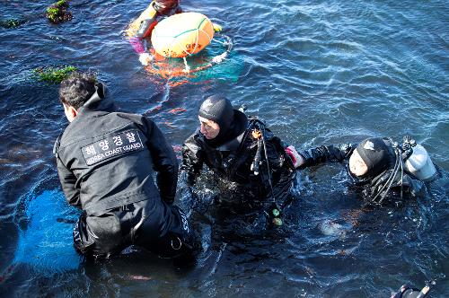 (250211) 하도 수중 및 연안·도서지역 정화활동 사진10