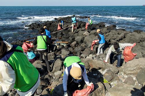 (251106) 제주청 민·관 협업 차귀도 정화활동(진에어) 13