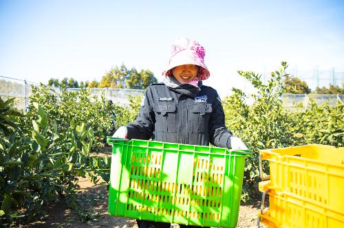 (251210) 농번기 농촌이론돕기 봉사활동 19