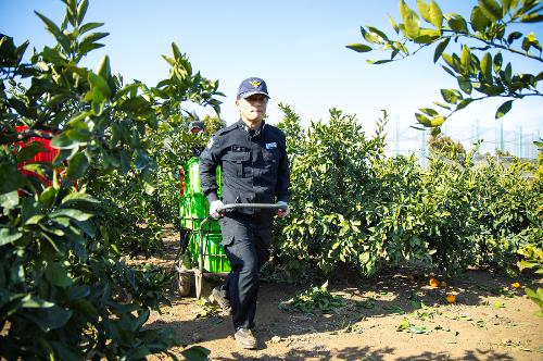 (251210) 농번기 농촌이론돕기 봉사활동 20