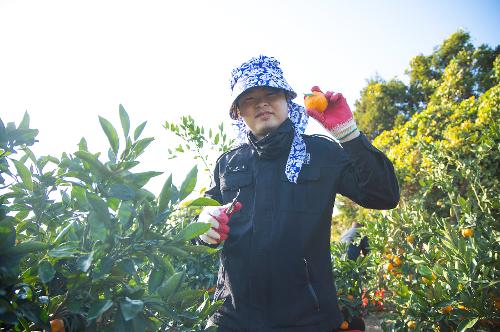 (251210) 농번기 농촌이론돕기 봉사활동 13