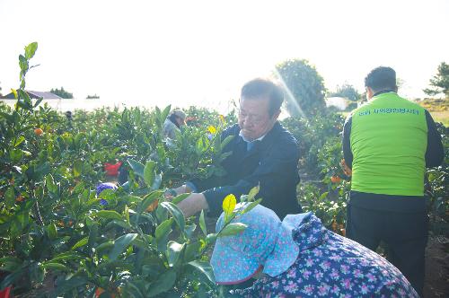 (251210) 농번기 농촌이론돕기 봉사활동 8