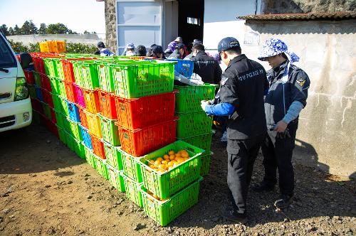(251210) 농번기 농촌이론돕기 봉사활동 10