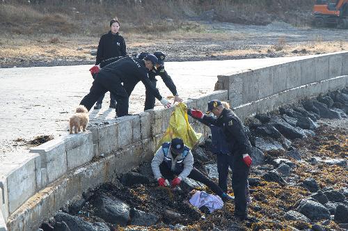 (251219) 비양도 마약수색 및 해안정화활동 7