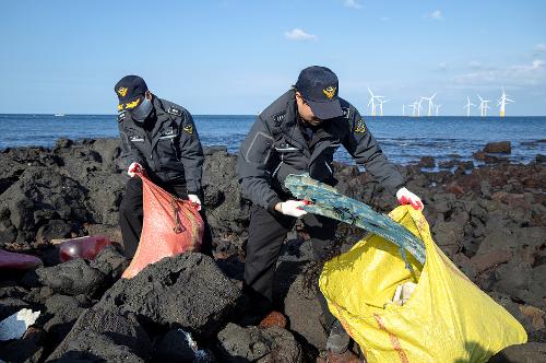 (251219) 비양도 마약수색 및 해안정화활동 3