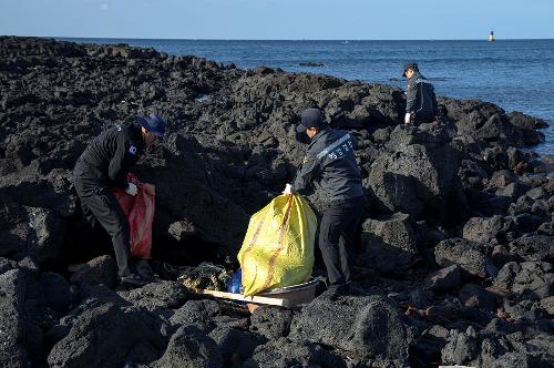 (251219) 비양도 마약수색 및 해안정화활동 4