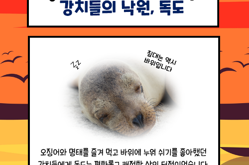 [카드뉴스] 독도의 날 기념(201023) 사진3