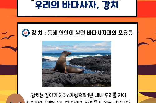 [카드뉴스] 독도의 날 기념(201023) 사진2