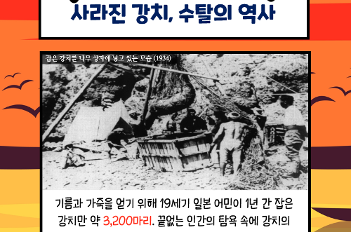 [카드뉴스] 독도의 날 기념(201023) 사진7