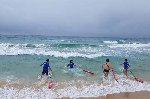 해수욕장 수상안전요원-해경 합동훈련(삼포, 설악, 낙산, 하조대, 주문진) 8