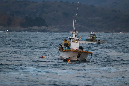 동해안 최북단 저도어장 개장, 안전관리 돌입 5