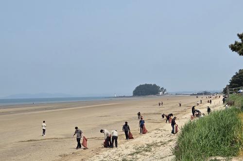 250527 태안해경, 제30회 바다의 날 기념 해양환경 보전활동 실시 사진5